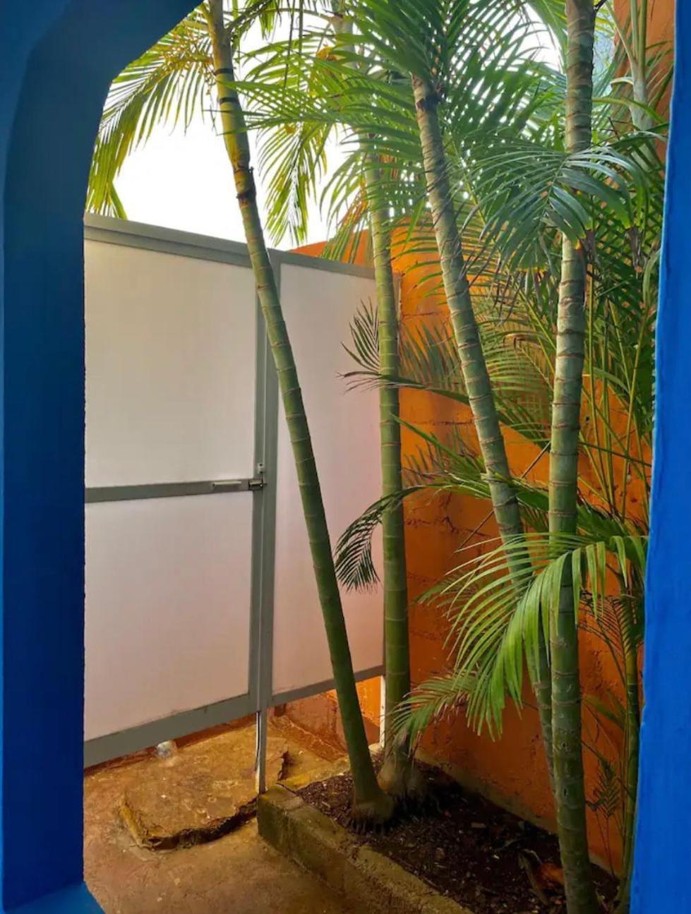 Casa Azul Hotel San Agustinillo Bilik gambar